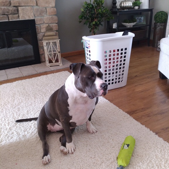 Meet your Posher, Chris - Picture 1 of 1